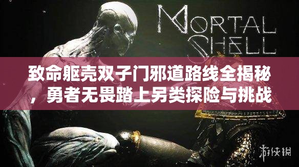 致命躯壳双子门邪道路线全揭秘，勇者无畏踏上另类探险与挑战之旅
