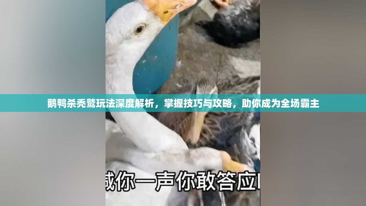 鹅鸭杀秃鹫玩法深度解析，掌握技巧与攻略，助你成为全场霸主