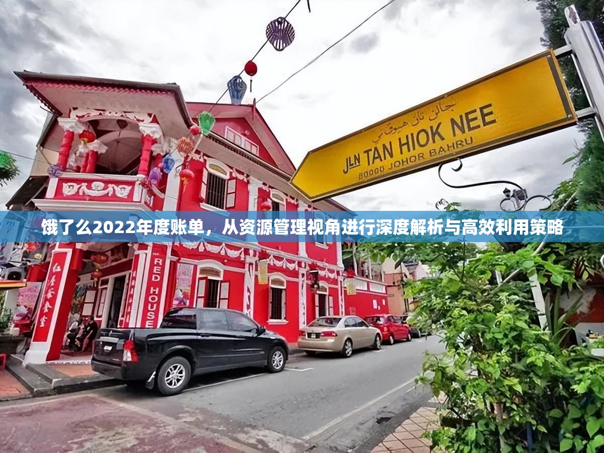 饿了么2022年度账单，从资源管理视角进行深度解析与高效利用策略