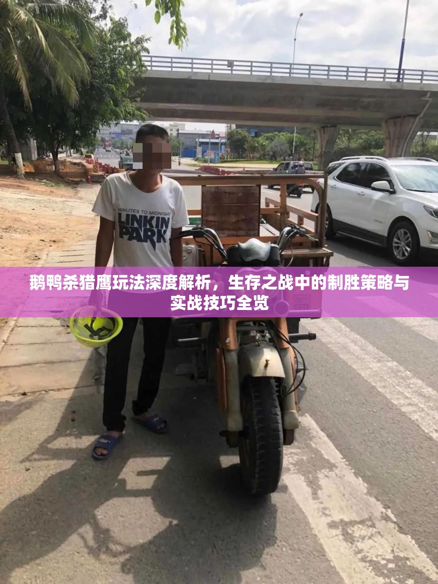 鹅鸭杀猎鹰玩法深度解析，生存之战中的制胜策略与实战技巧全览