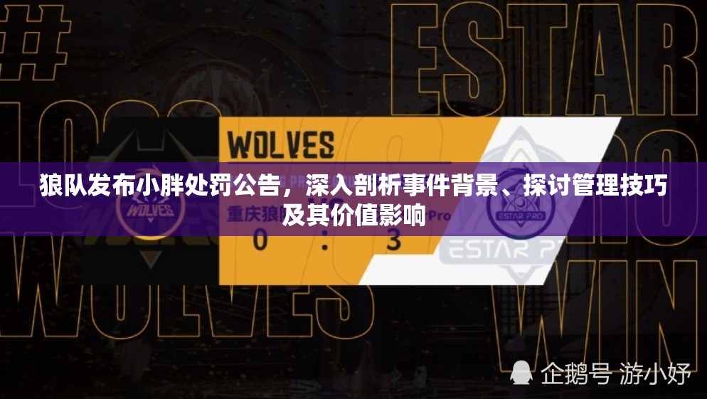 狼队发布小胖处罚公告，深入剖析事件背景、探讨管理技巧及其价值影响