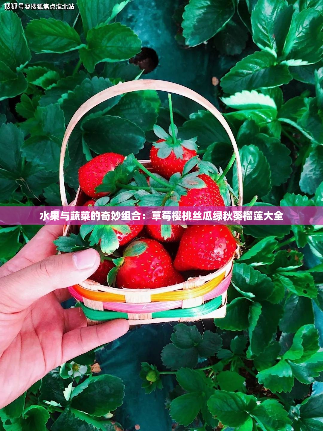 水果与蔬菜的奇妙组合：草莓樱桃丝瓜绿秋葵榴莲大全