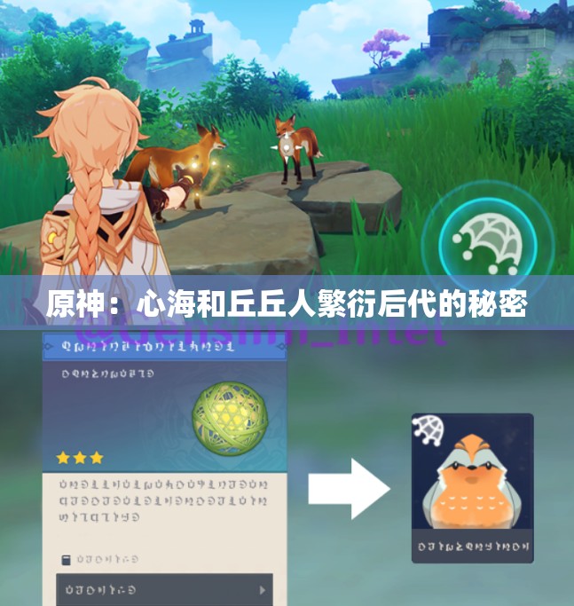 原神：心海和丘丘人繁衍后代的秘密