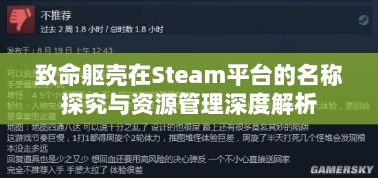 致命躯壳在Steam平台的名称探究与资源管理深度解析