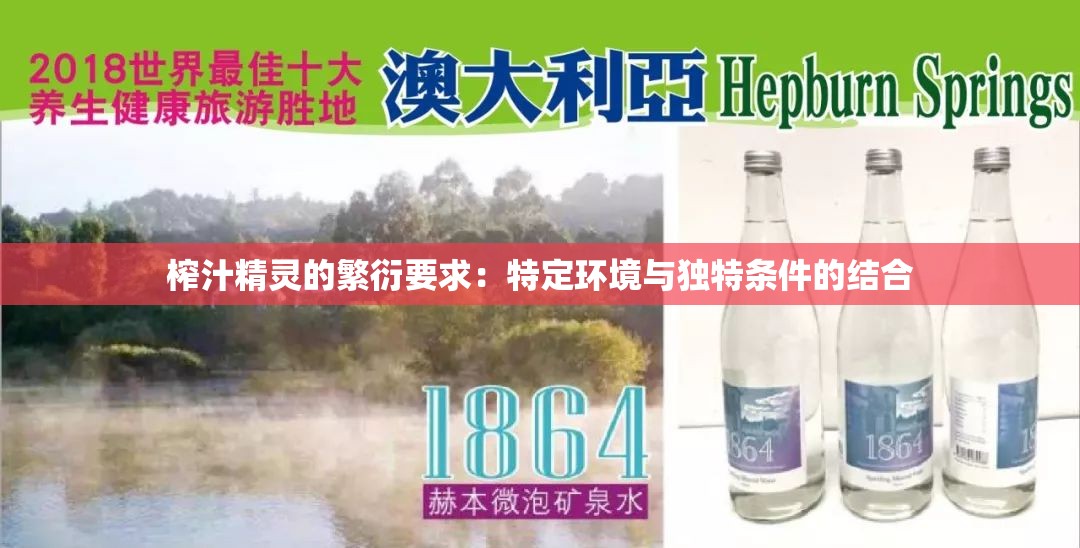 榨汁精灵的繁衍要求：特定环境与独特条件的结合