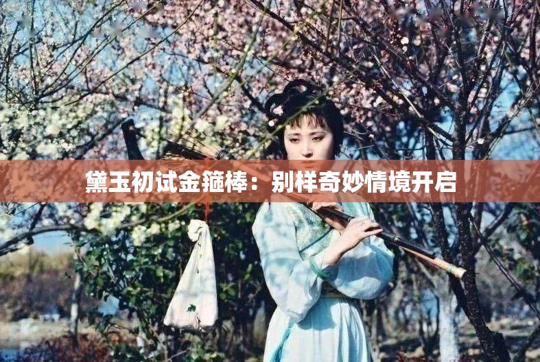 黛玉初试金箍棒：别样奇妙情境开启