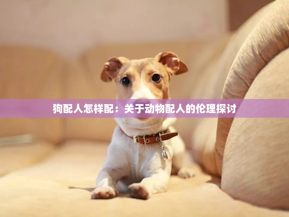 狗配人怎样配：关于动物配人的伦理探讨