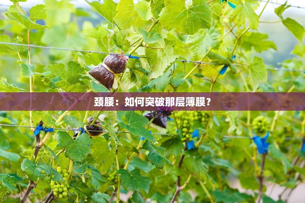 颈腰：如何突破那层薄膜？