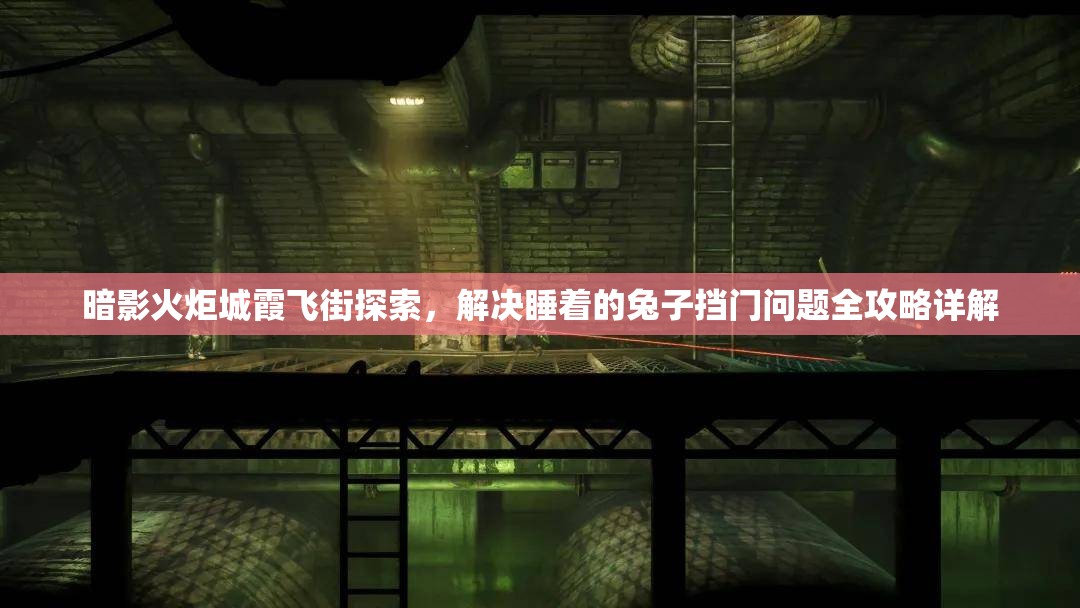 暗影火炬城霞飞街探索，解决睡着的兔子挡门问题全攻略详解