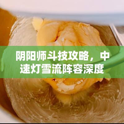 阴阳师斗技攻略，中速灯雪流阵容深度解析，2700分打法技巧与资源管理策略分享