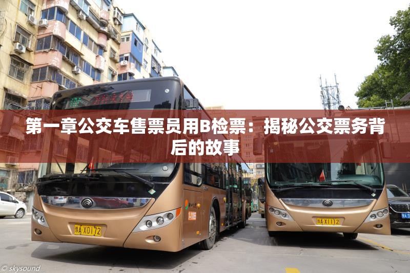 第一章公交车售票员用B检票：揭秘公交票务背后的故事