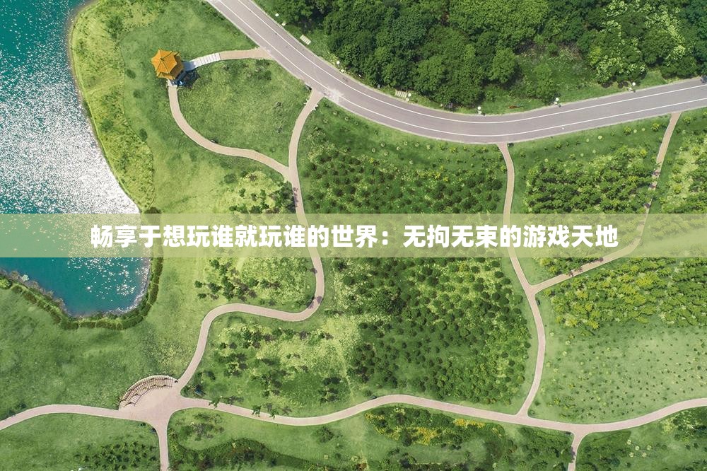 畅享于想玩谁就玩谁的世界：无拘无束的游戏天地