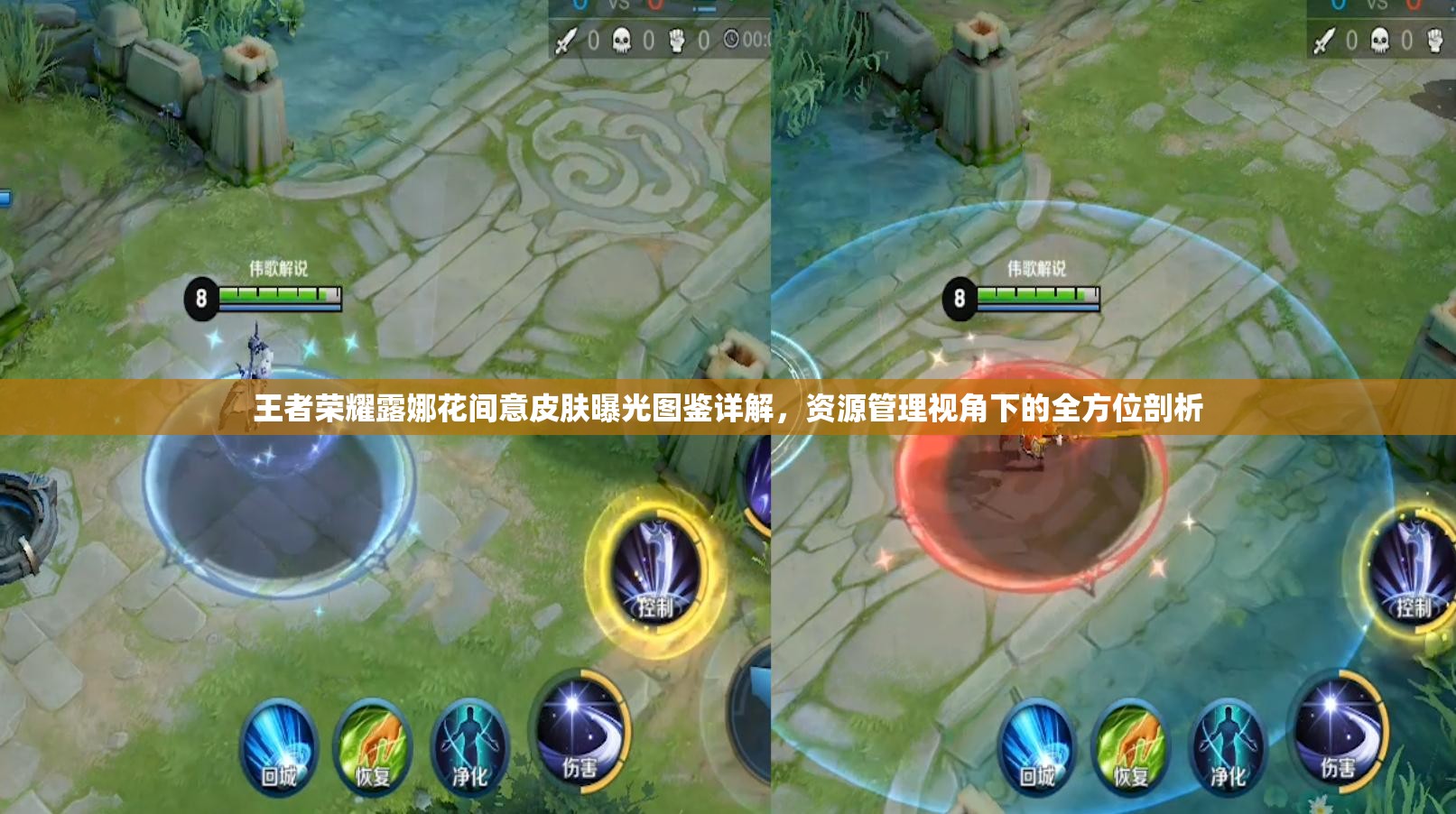王者荣耀露娜花间意皮肤曝光图鉴详解，资源管理视角下的全方位剖析