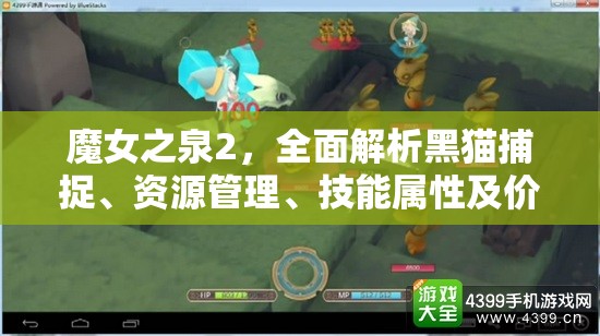 魔女之泉2，全面解析黑猫捕捉、资源管理、技能属性及价值最大化策略