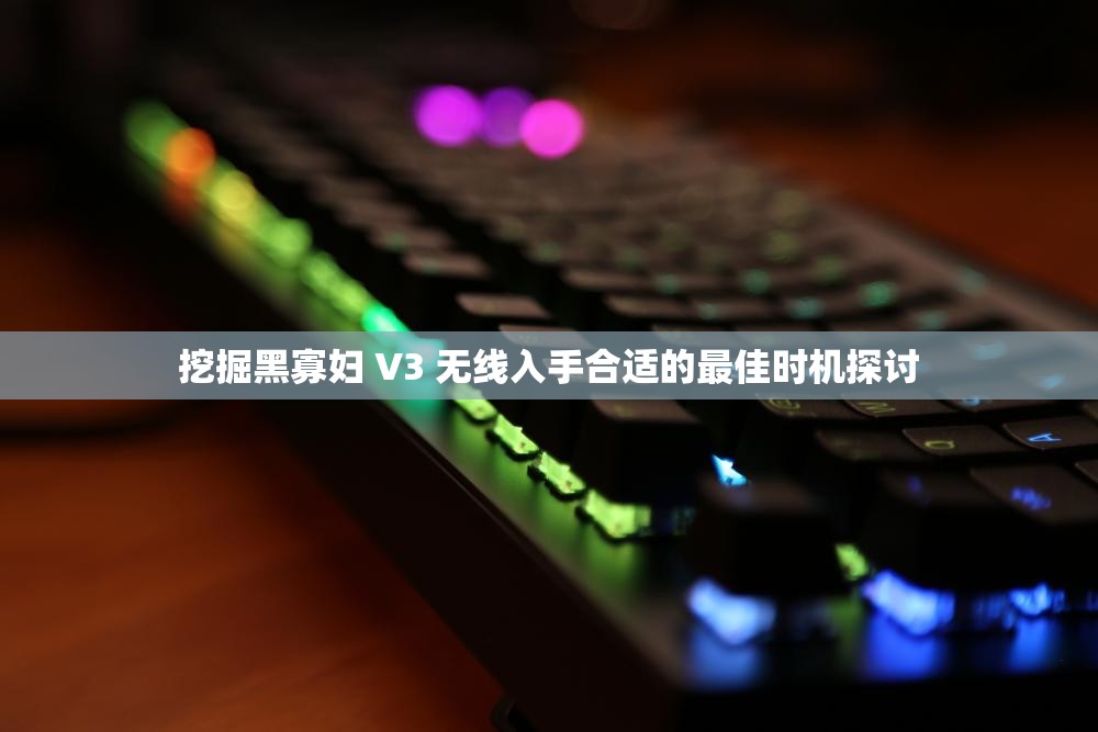 挖掘黑寡妇 V3 无线入手合适的最佳时机探讨
