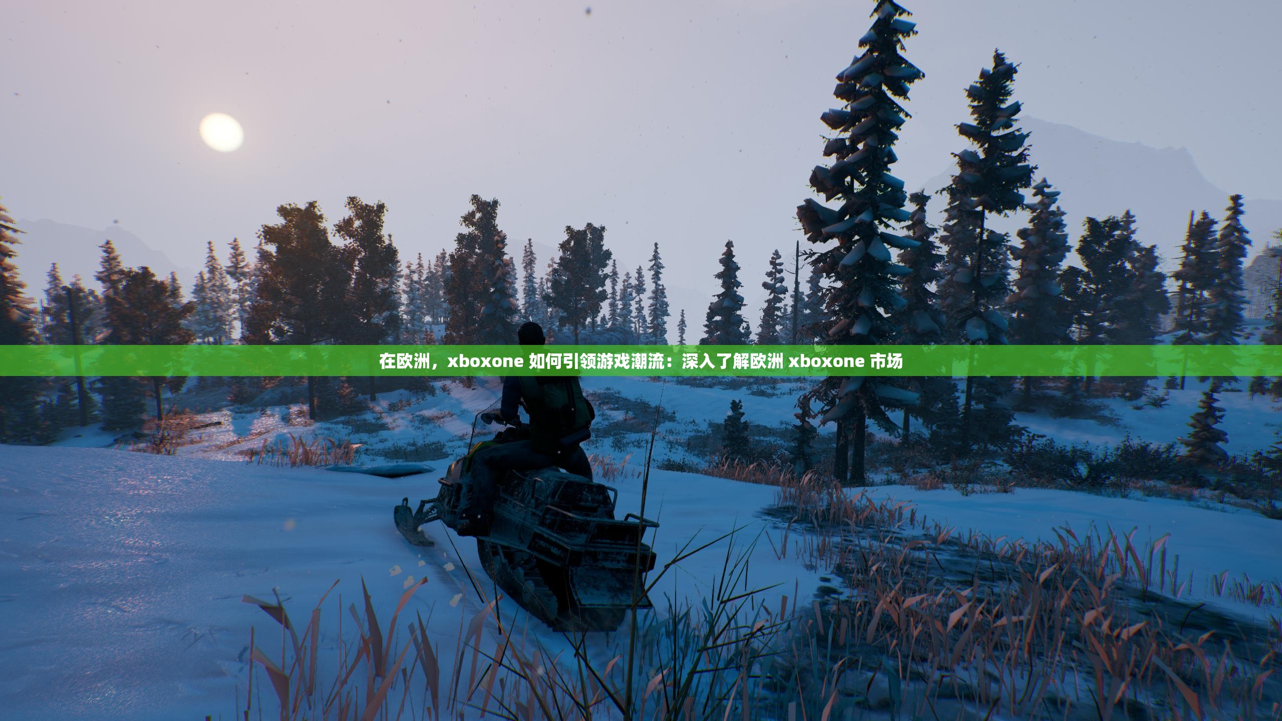 在欧洲，xboxone 如何引领游戏潮流：深入了解欧洲 xboxone 市场