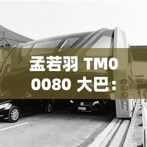 孟若羽 TM00080 大巴：关于其背后故事及相关介绍