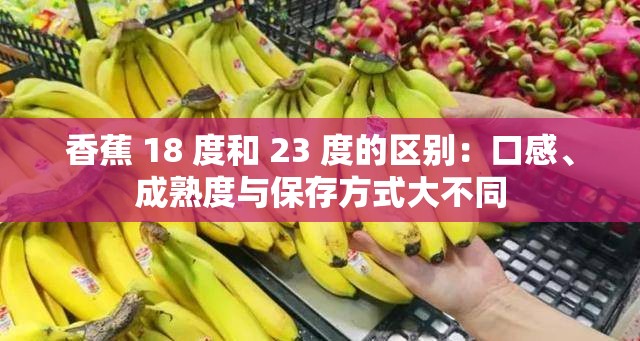香蕉 18 度和 23 度的区别：口感、成熟度与保存方式大不同