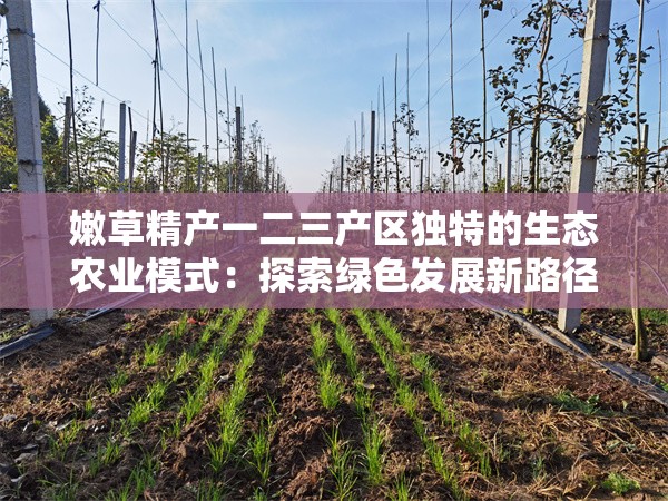 嫩草精产一二三产区独特的生态农业模式：探索绿色发展新路径