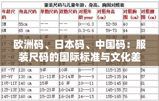 欧洲码、日本码、中国码：服装尺码的国际标准与文化差异