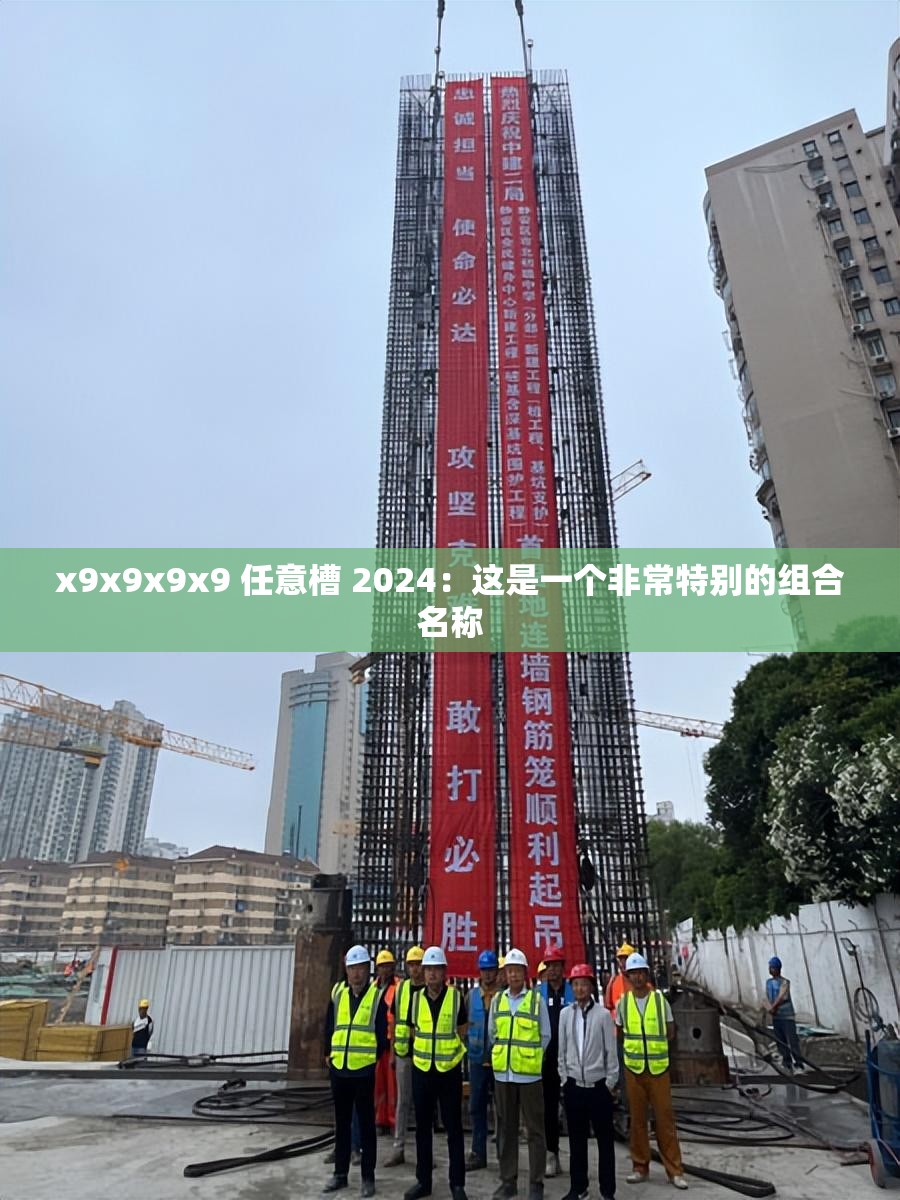 x9x9x9x9 任意槽 2024：这是一个非常特别的组合名称
