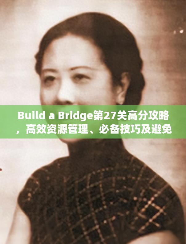 Build a Bridge第27关高分攻略，高效资源管理、必备技巧及避免资源浪费策略