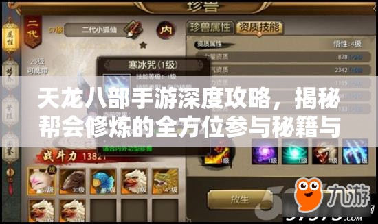 天龙八部手游深度攻略，揭秘帮会修炼的全方位参与秘籍与技巧