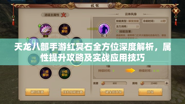 天龙八部手游红冥石全方位深度解析，属性提升攻略及实战应用技巧