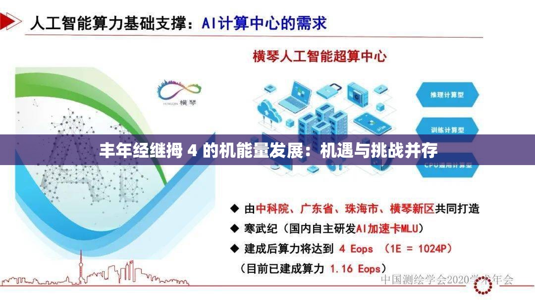 丰年经继拇 4 的机能量发展：机遇与挑战并存