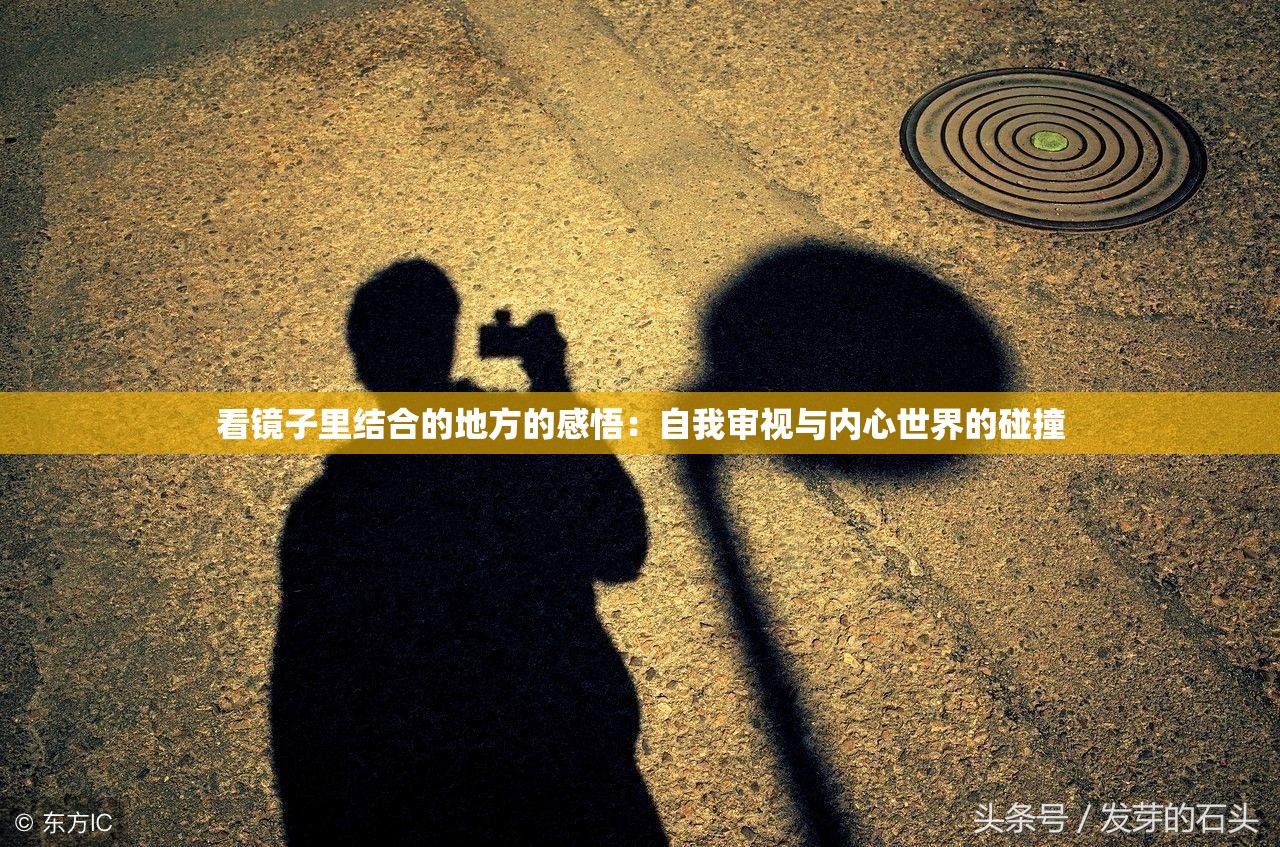 看镜子里结合的地方的感悟：自我审视与内心世界的碰撞