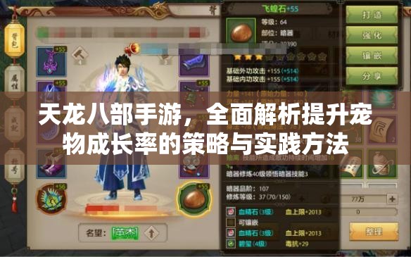 天龙八部手游，全面解析提升宠物成长率的策略与实践方法