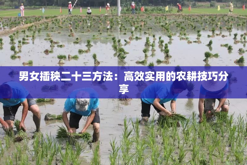 男女插秧二十三方法：高效实用的农耕技巧分享