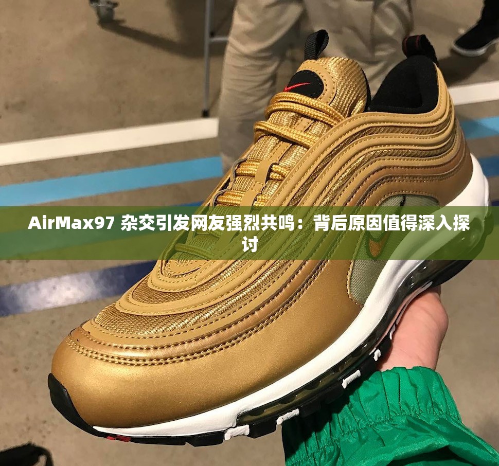 AirMax97 杂交引发网友强烈共鸣：背后原因值得深入探讨