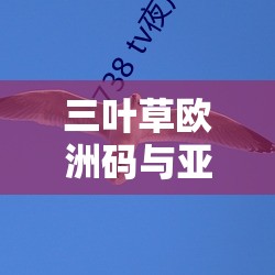 三叶草欧洲码与亚洲码的独特差异对比