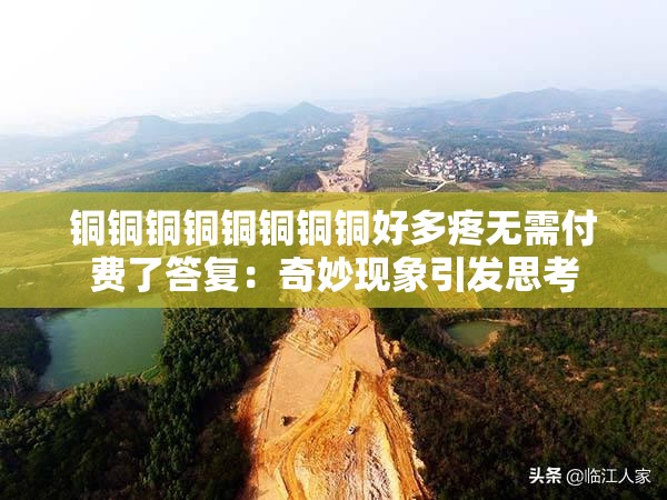 铜铜铜铜铜铜铜铜好多疼无需付费了答复：奇妙现象引发思考