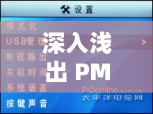 深入浅出 PMP 不慎意外走红：探究其背后的独特魅力与价值