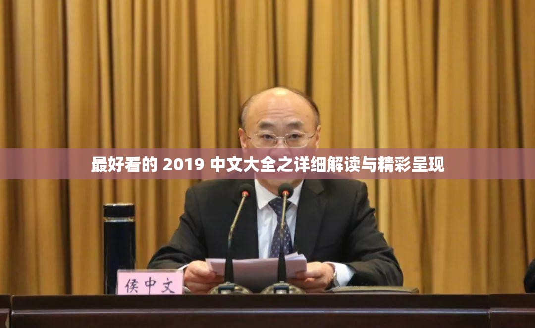 最好看的 2019 中文大全之详细解读与精彩呈现