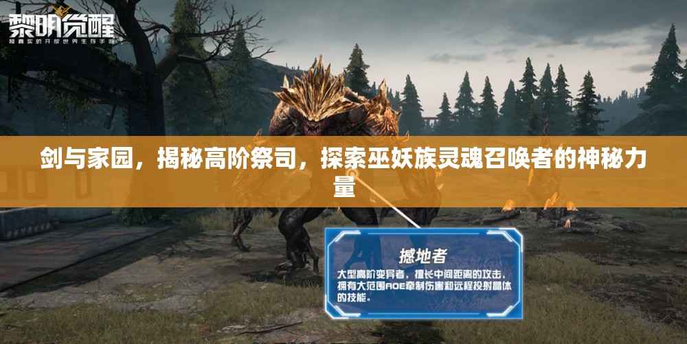 剑与家园，揭秘高阶祭司，探索巫妖族灵魂召唤者的神秘力量