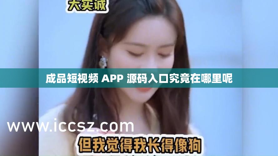 成品短视频 APP 源码入口究竟在哪里呢