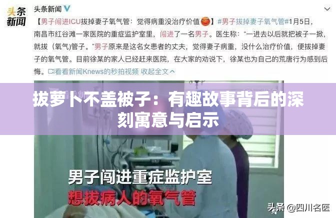 拔萝卜不盖被子：有趣故事背后的深刻寓意与启示