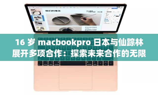 16 岁 macbookpro 日本与仙踪林展开多项合作：探索未来合作的无限可能