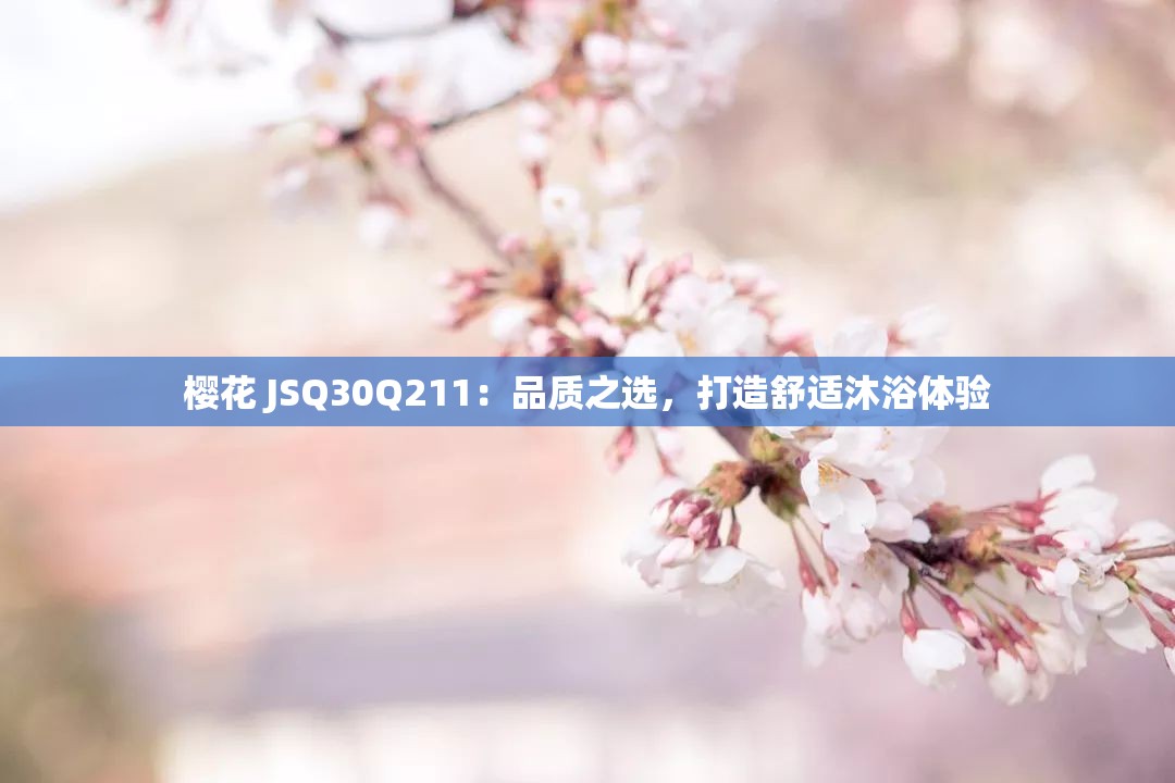 樱花 JSQ30Q211：品质之选，打造舒适沐浴体验