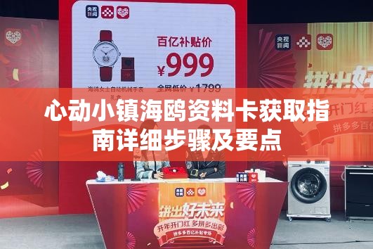 心动小镇海鸥资料卡获取指南详细步骤及要点