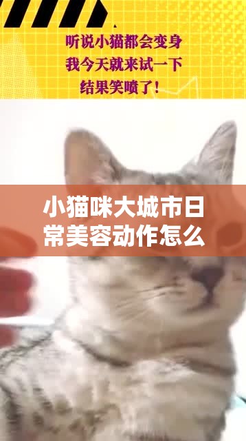 小猫咪大城市日常美容动作怎么获得：变身时尚喵星人