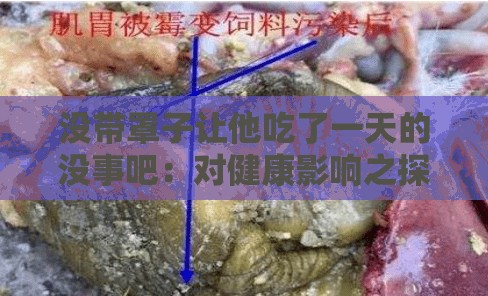 没带罩子让他吃了一天的没事吧：对健康影响之探讨