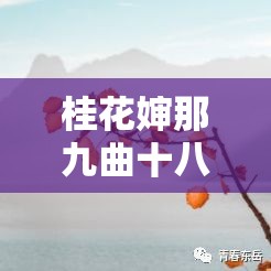 桂花婶那九曲十八弯般的奇妙人生故事