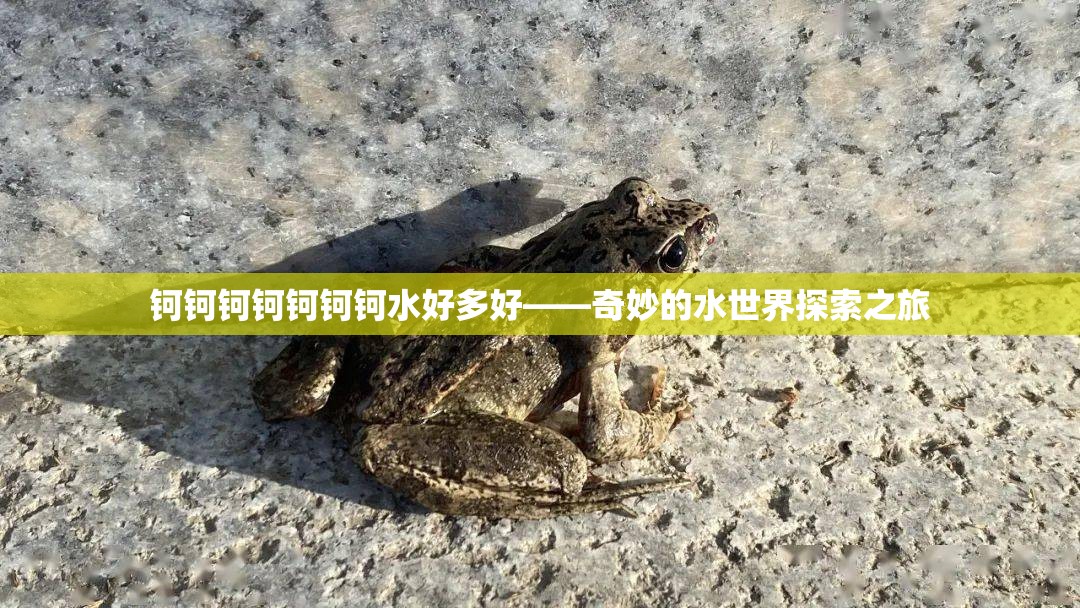 钶钶钶钶钶钶钶水好多好——奇妙的水世界探索之旅