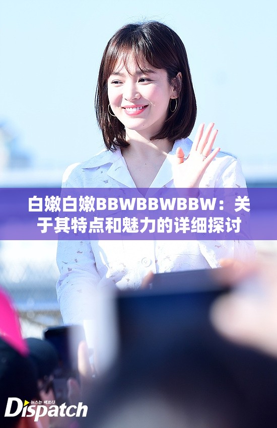 白嫩白嫩BBWBBWBBW：关于其特点和魅力的详细探讨