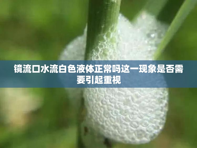 镜流口水流白色液体正常吗这一现象是否需要引起重视