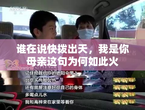 谁在说快拨出天，我是你母亲这句为何如此火